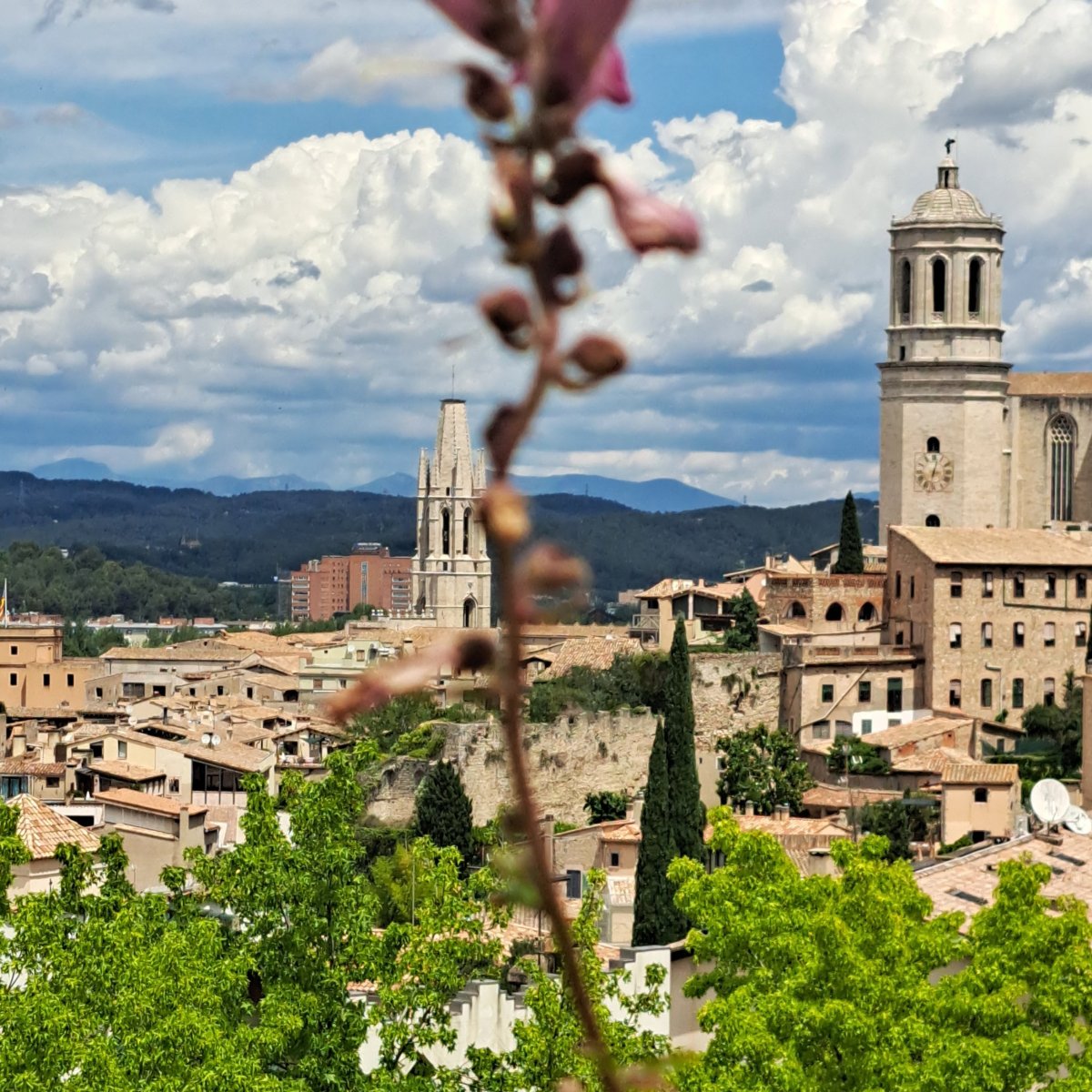 The end-o fim-el fin- la fin-Schluss und fertig: Mein letzter ganzer Tag in&nbsp;Spanien