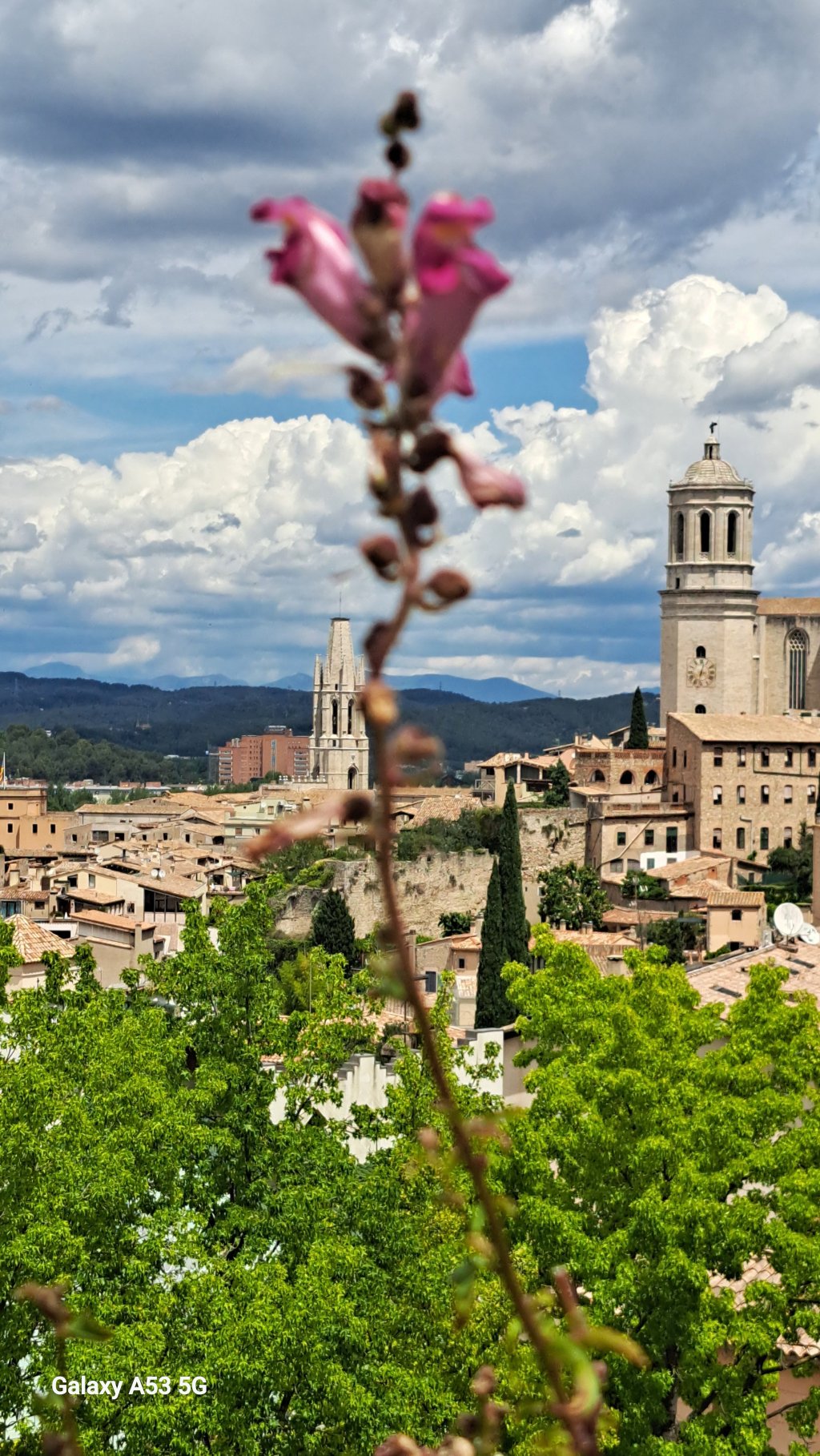 The end-o fim-el fin- la fin-Schluss und fertig: Mein letzter ganzer Tag in&nbsp;Spanien