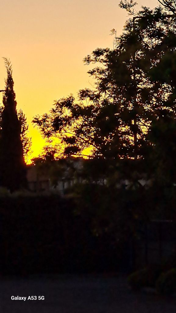 20240419_2020161565193281449998495