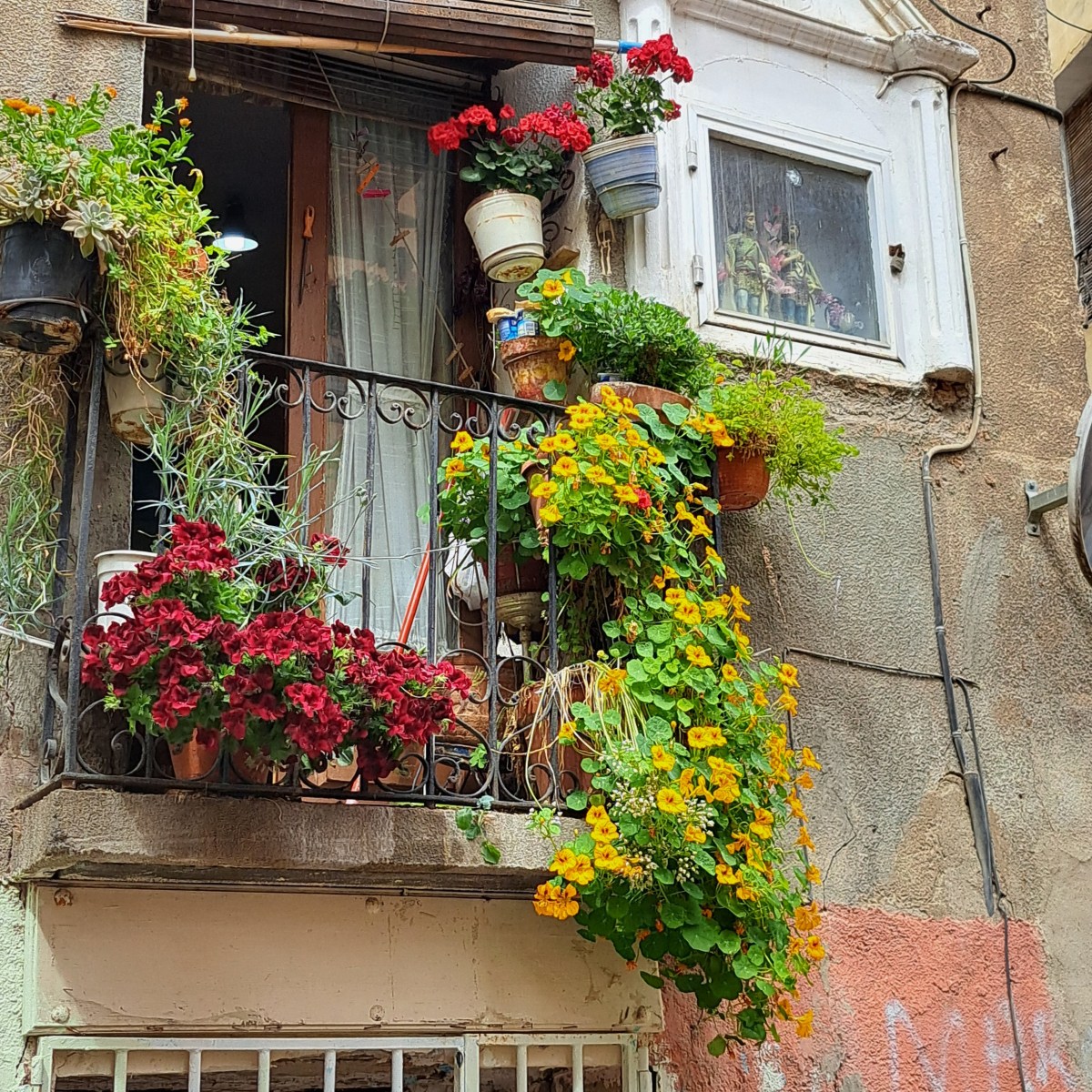 Wunderschön und abgrundschiach