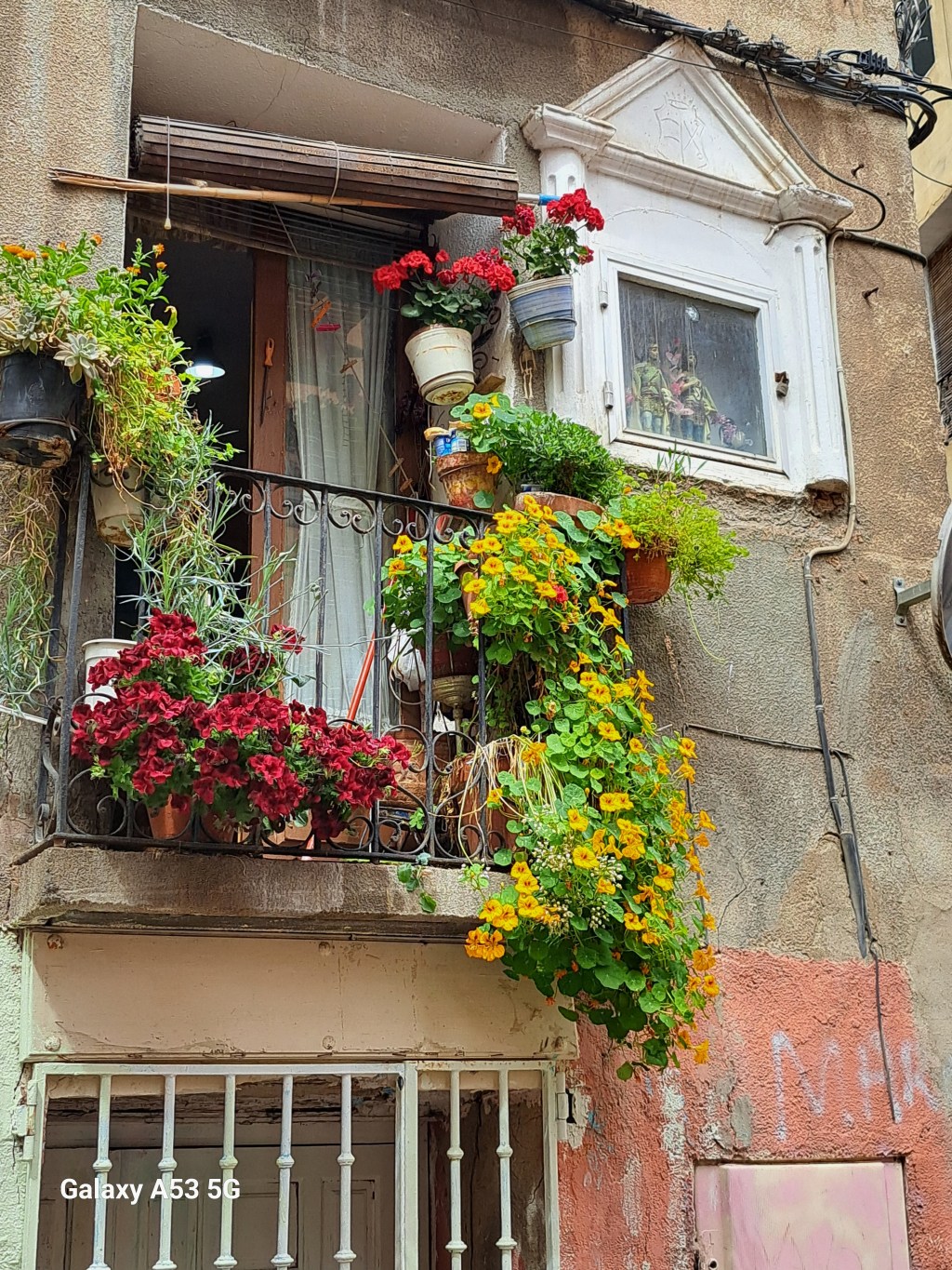 Wunderschön und abgrundschiach