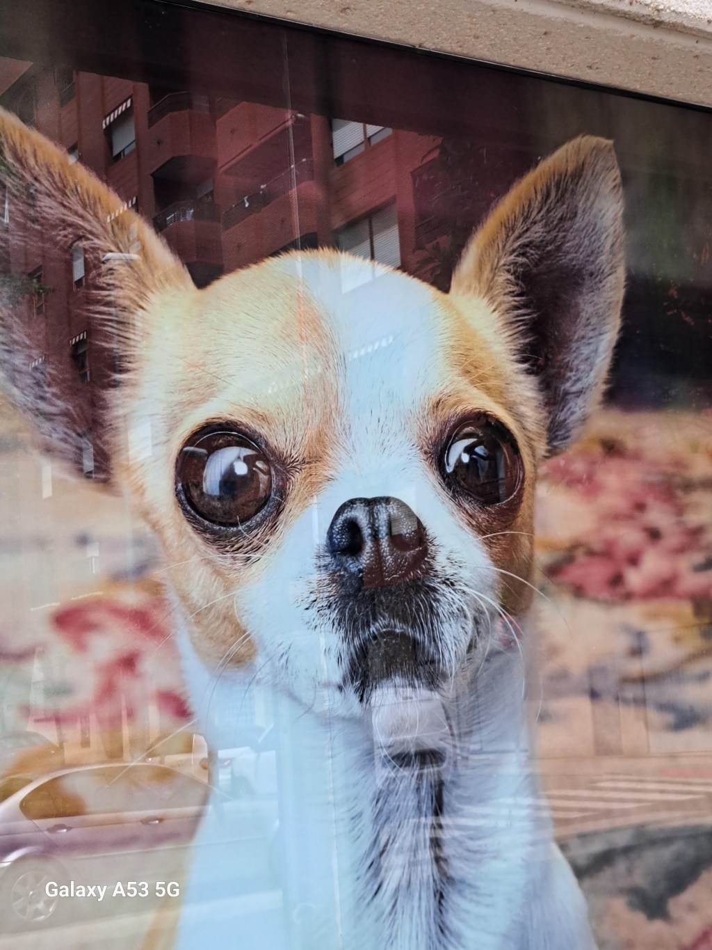 Best of Spanien – mit&nbsp;Augenzwinkern!