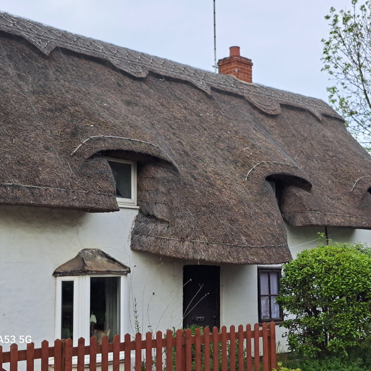 Dass ich grad immer was finde&nbsp;…