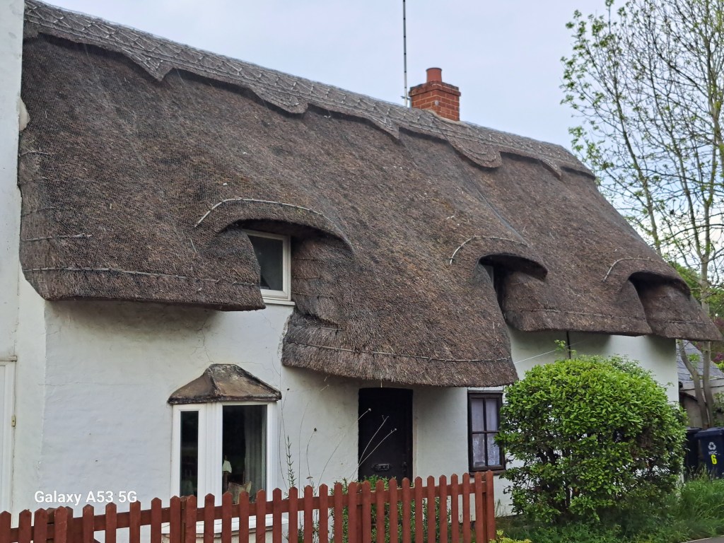 Dass ich grad immer was finde&nbsp;…