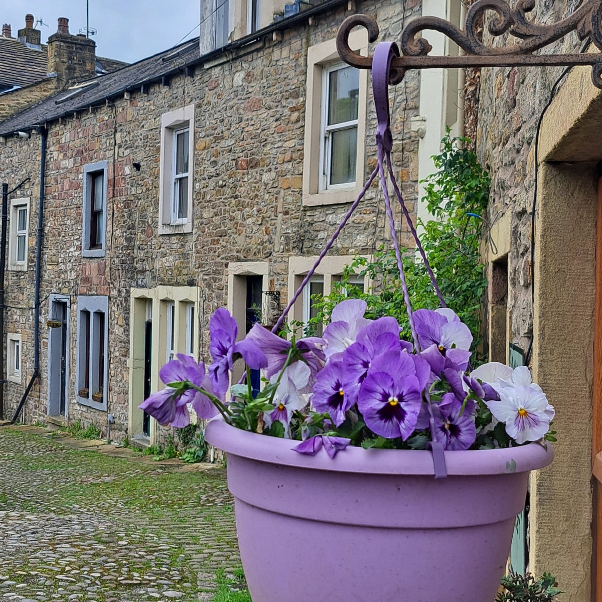 SKIPTON  –  oh, how&nbsp;lovely!