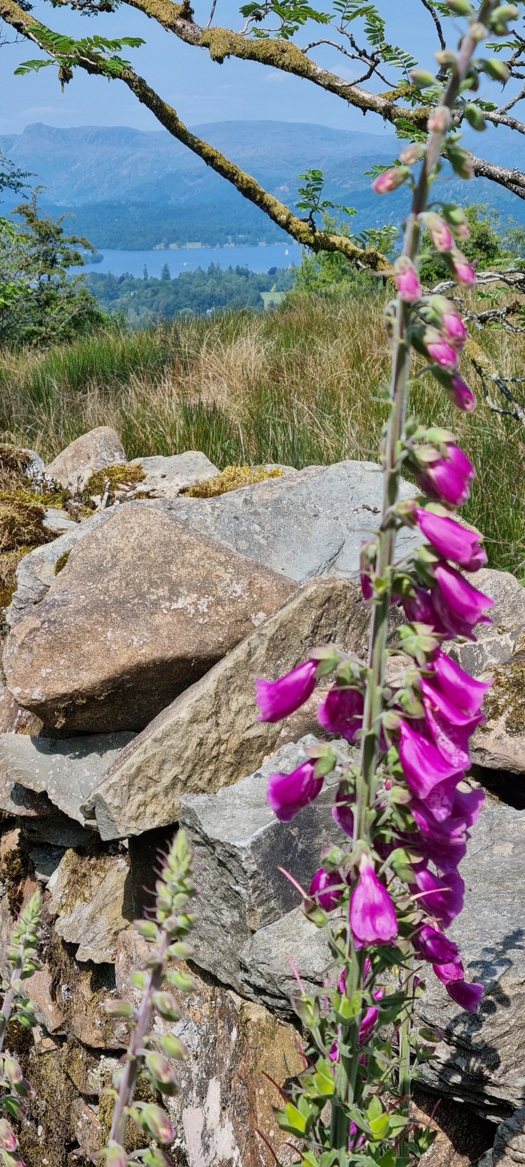 Freitag, der 13.: Zug kaputt!