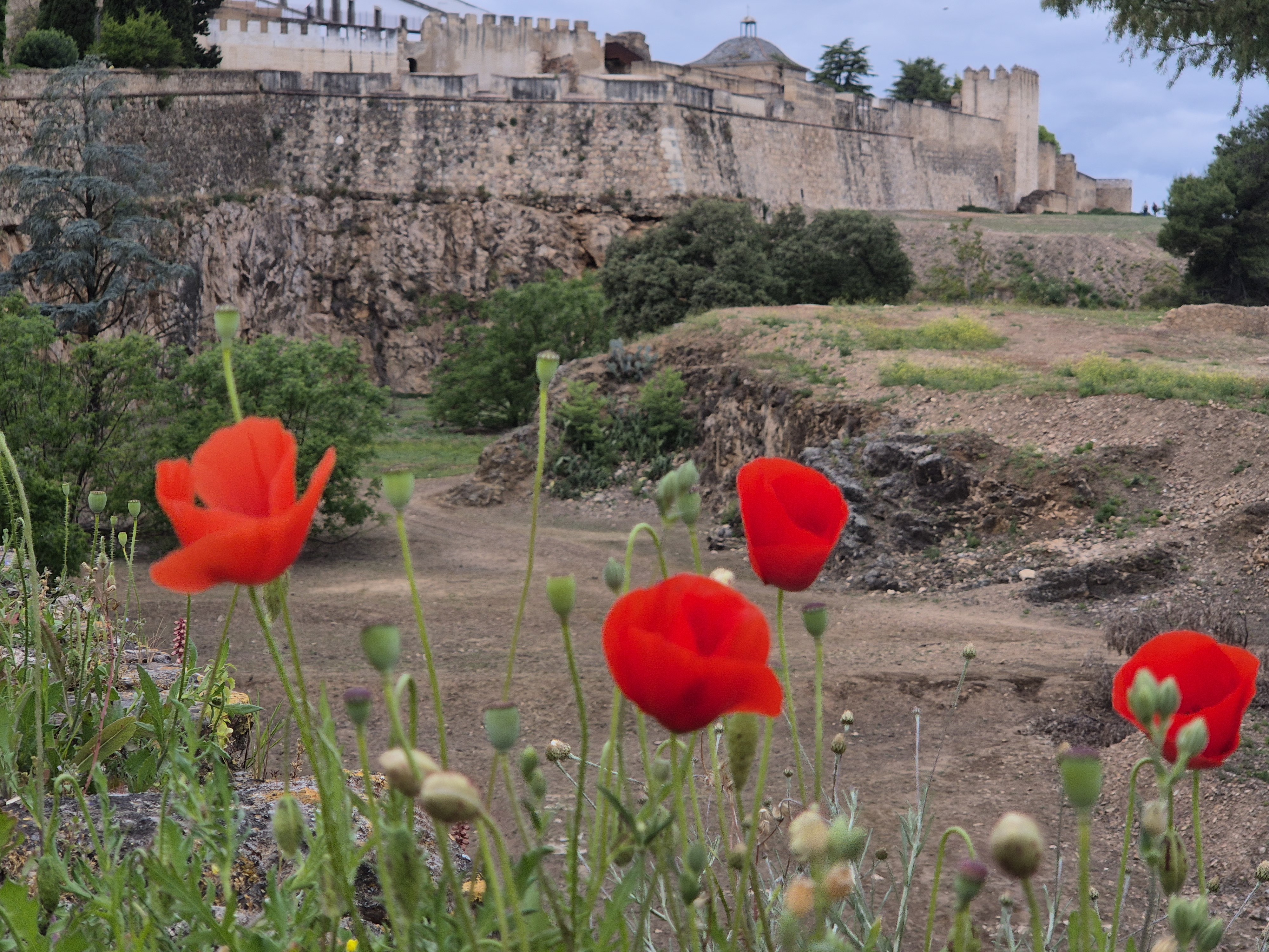 STADTMAUER? – FIX!